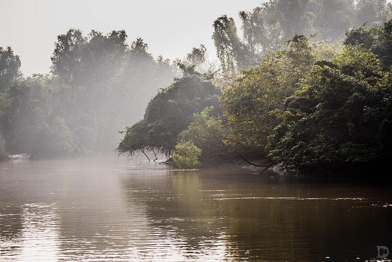 Bhitarkanika National Park