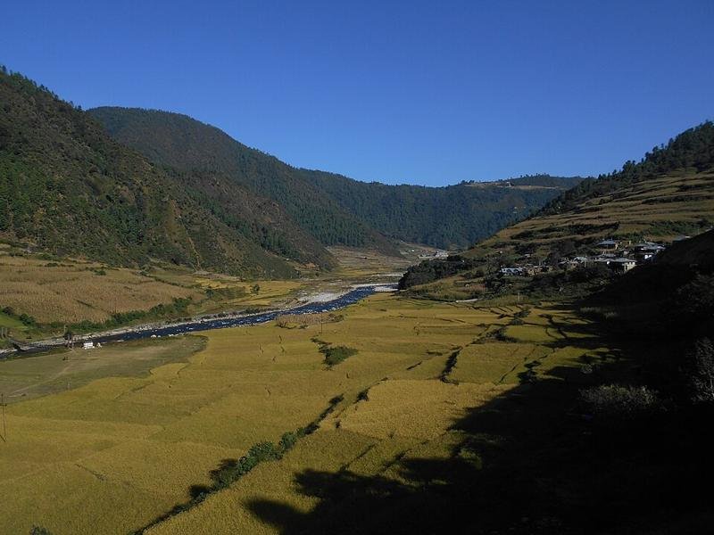 Dirang